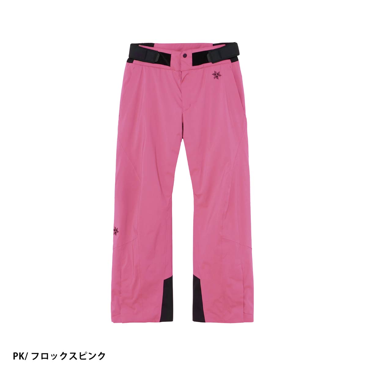 GOLDWIN（ゴールドウイン） スキーウェア スキーパンツ パンツ メンズ