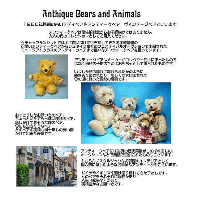 少しお求めやすい価格にしました。テディベア イギリス アンティーク