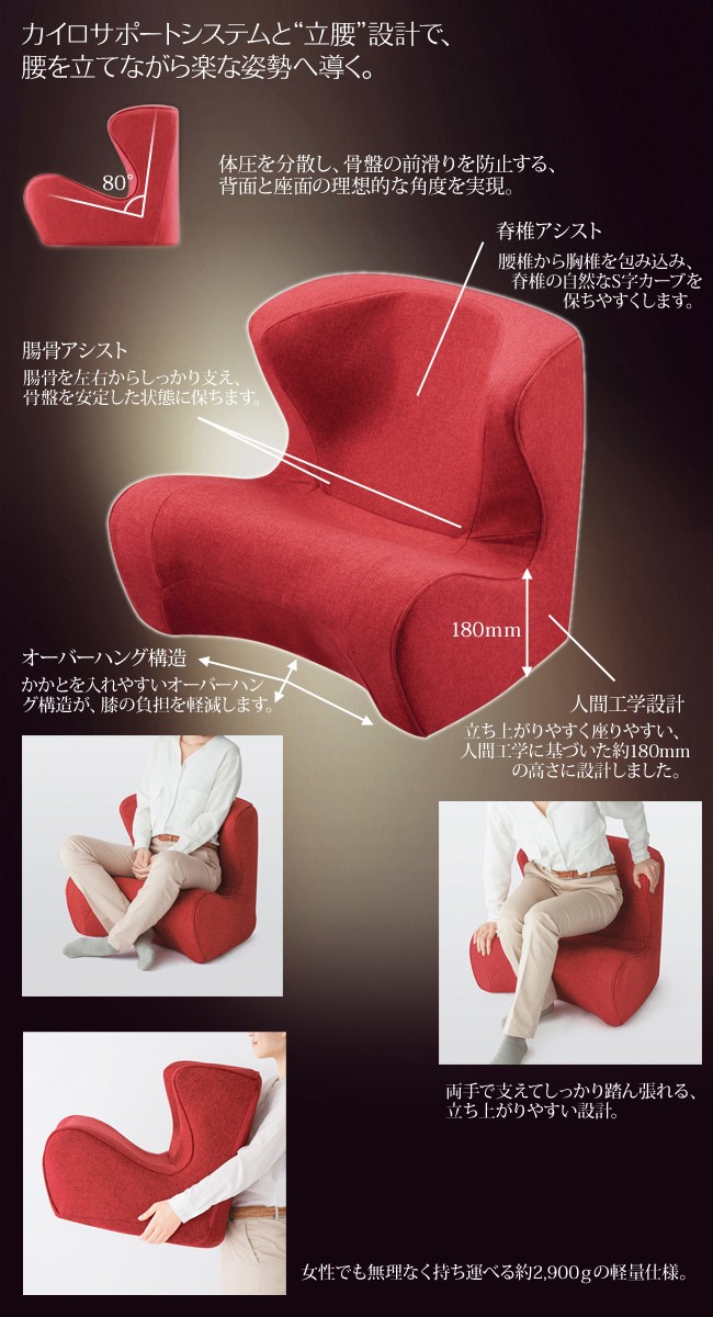Style Dr.CHAIR スタイルドクターチェア ボディメイクシート スタイル
