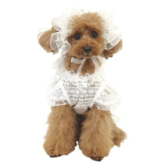 TIARA PETS JAPAN - Luxe Birdie リュクスバーディ｜Yahoo!ショッピング