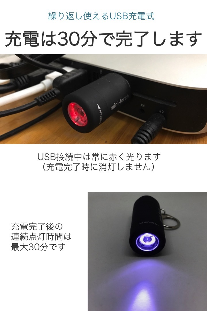 ミニ 懐中電灯 USB充電式 黒 ライトキーホルダー ハンディライト 小型