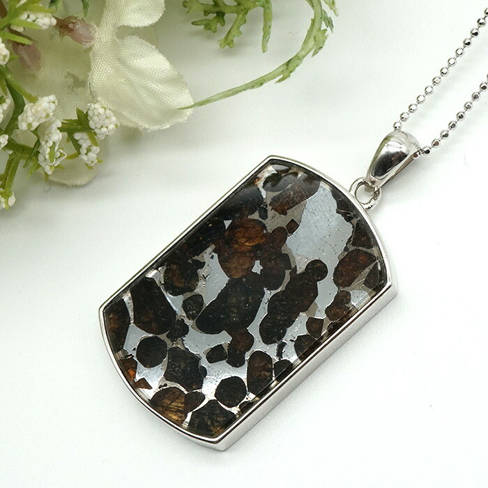 パラサイト 隕石 ペンダントトップ ケニア産 37x24mm 天然石