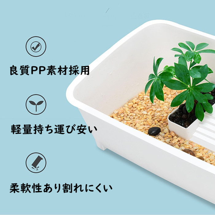 亀の水槽 カメ水槽 カメ飼育ケース 亀水槽 カメボックス タートル