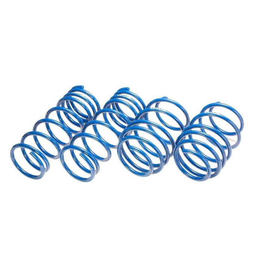 ESPELIR（エスペリア） スーパーダウンサスタイプ2 デリカD5 CV5W H19