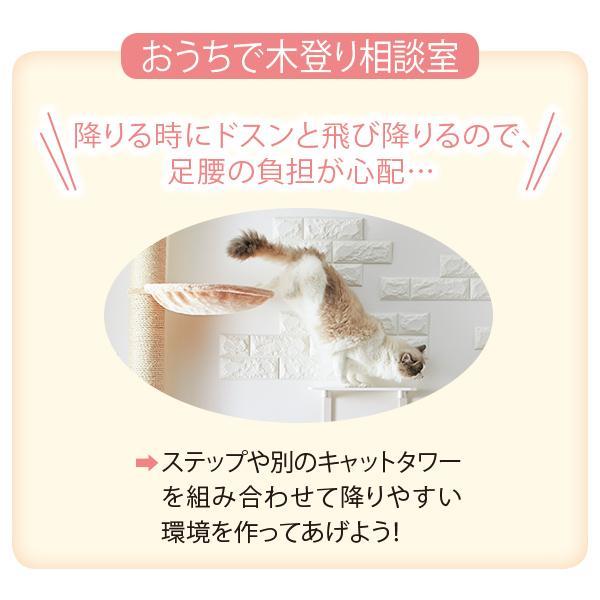 キャットタワー おうちで木登りタワーボックス付き (突っ張り型) 猫
