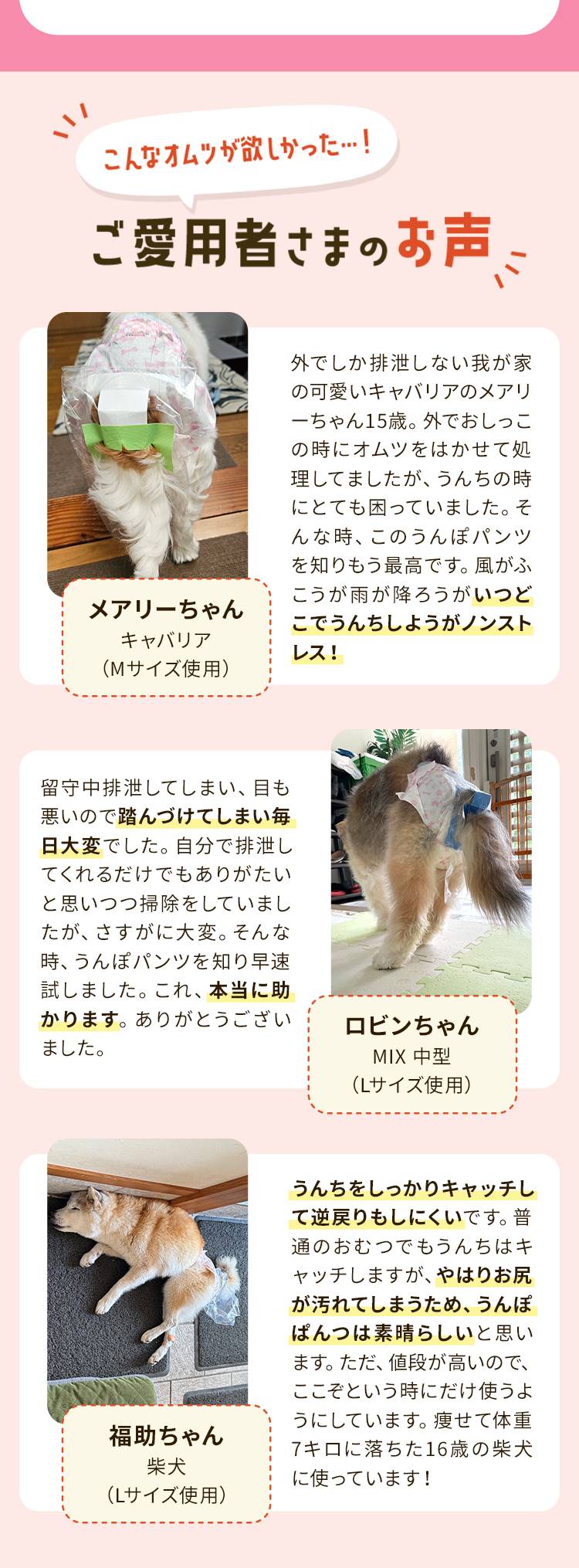 PEPPY（ペピイ） うんぽパンツ M・32枚 犬 おむつ 介護 おもらし