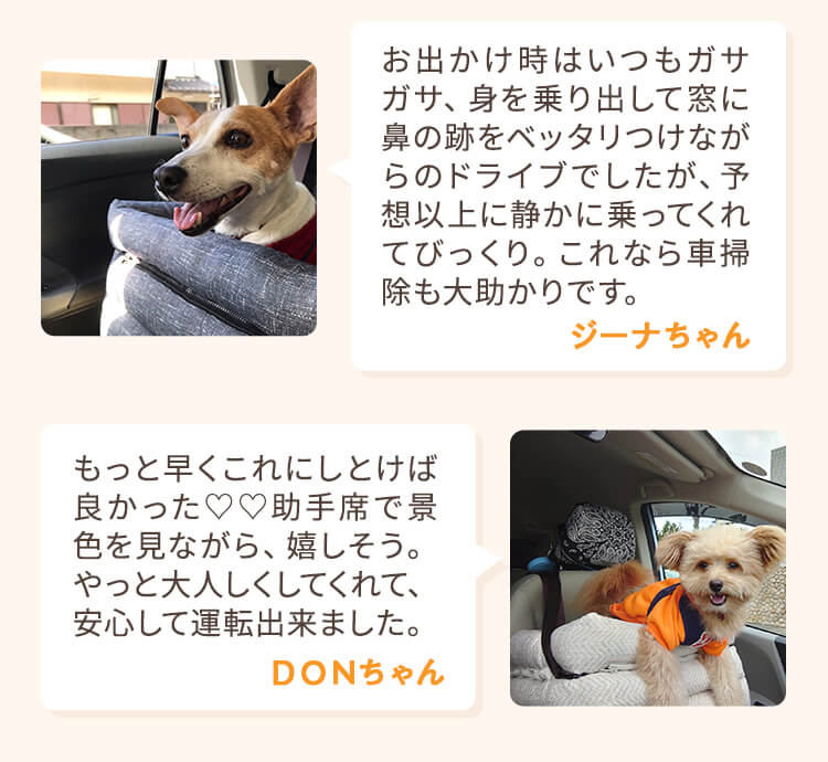 座ったまま景色が見えるドライブボックス 犬 車 アイボリードライブ