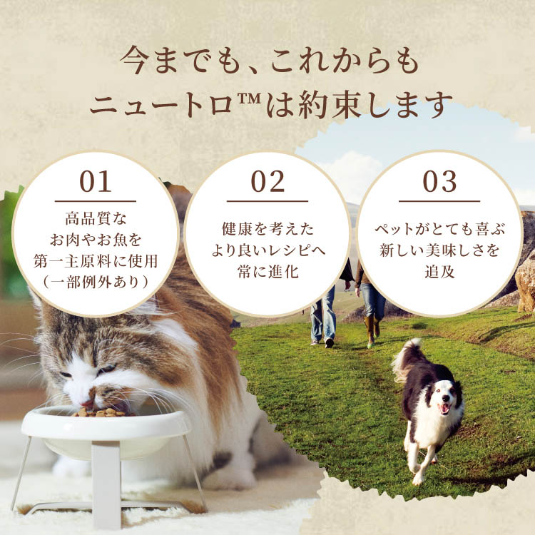 ニュートロ ナチュラル チョイス ラム＆玄米 中型〜大型犬 成犬 13.5kg