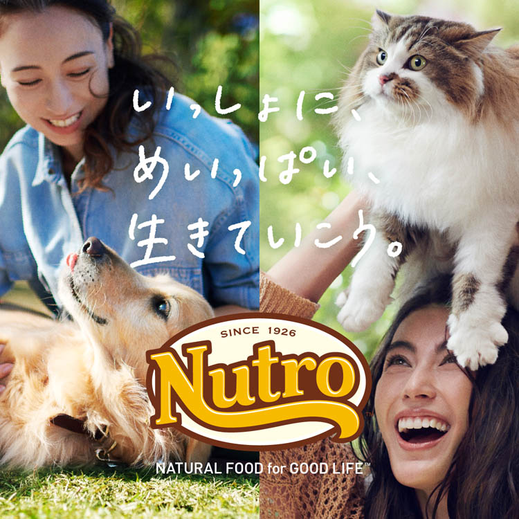 ニュートロ ナチュラル チョイス ラム＆玄米 中型〜大型犬 成犬 13.5kg