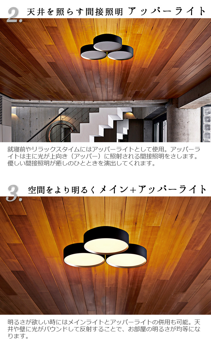 ARTWORKSTUDIO（アートワークスタジオ） 特典付き ファントム LED