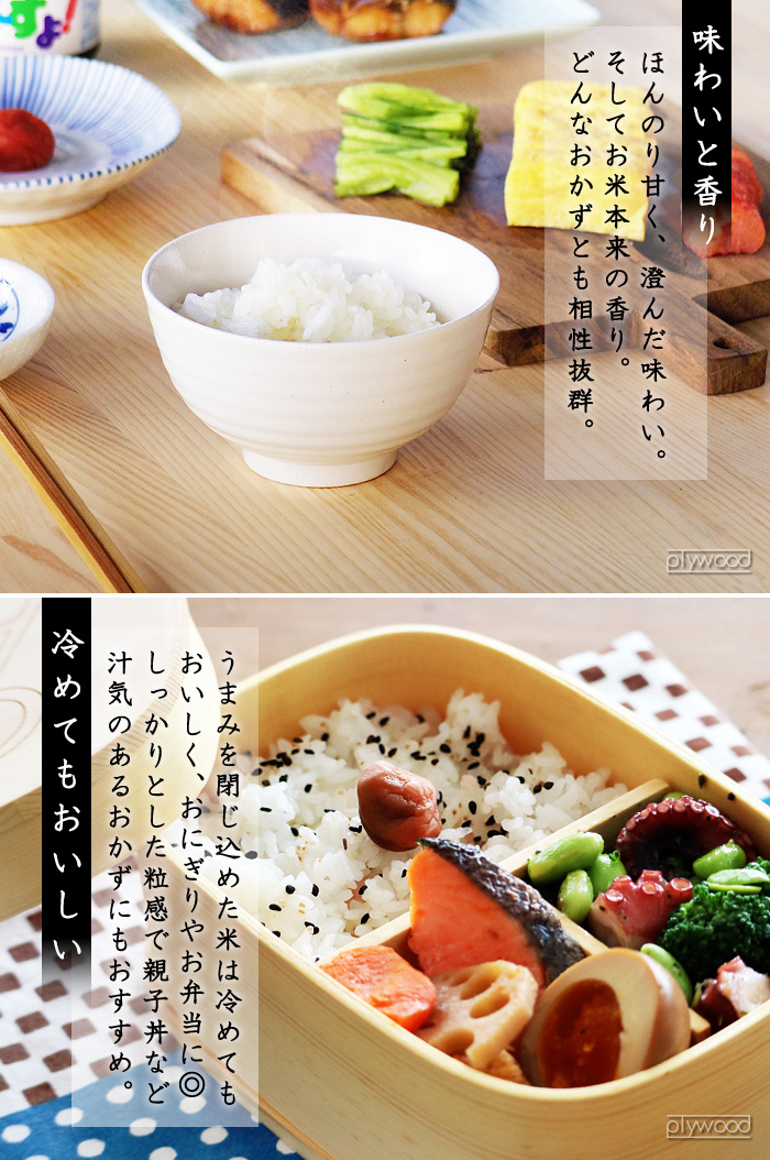 BALMUDA（バルミューダ） 炊飯器 3合 3合炊き ザ・ゴハン BALMUDA The