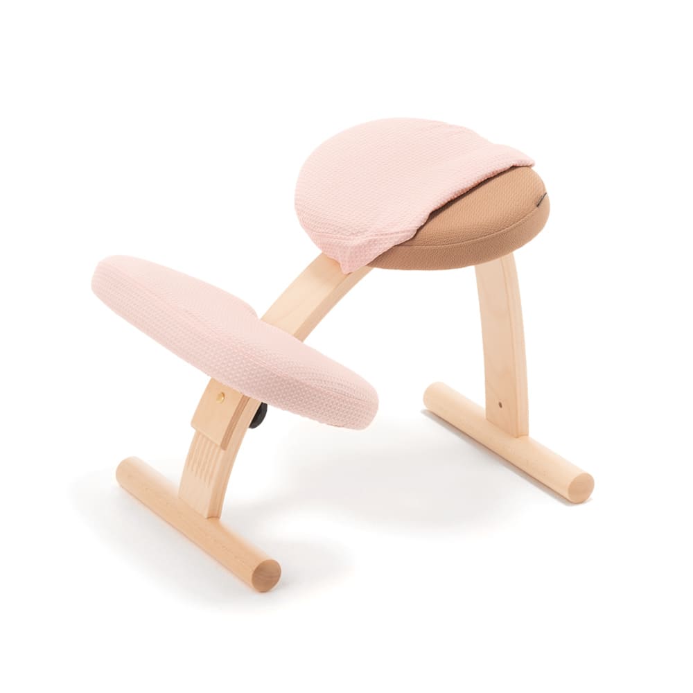 バランスラボ バランスチェア バランスチェアー バランスイージー