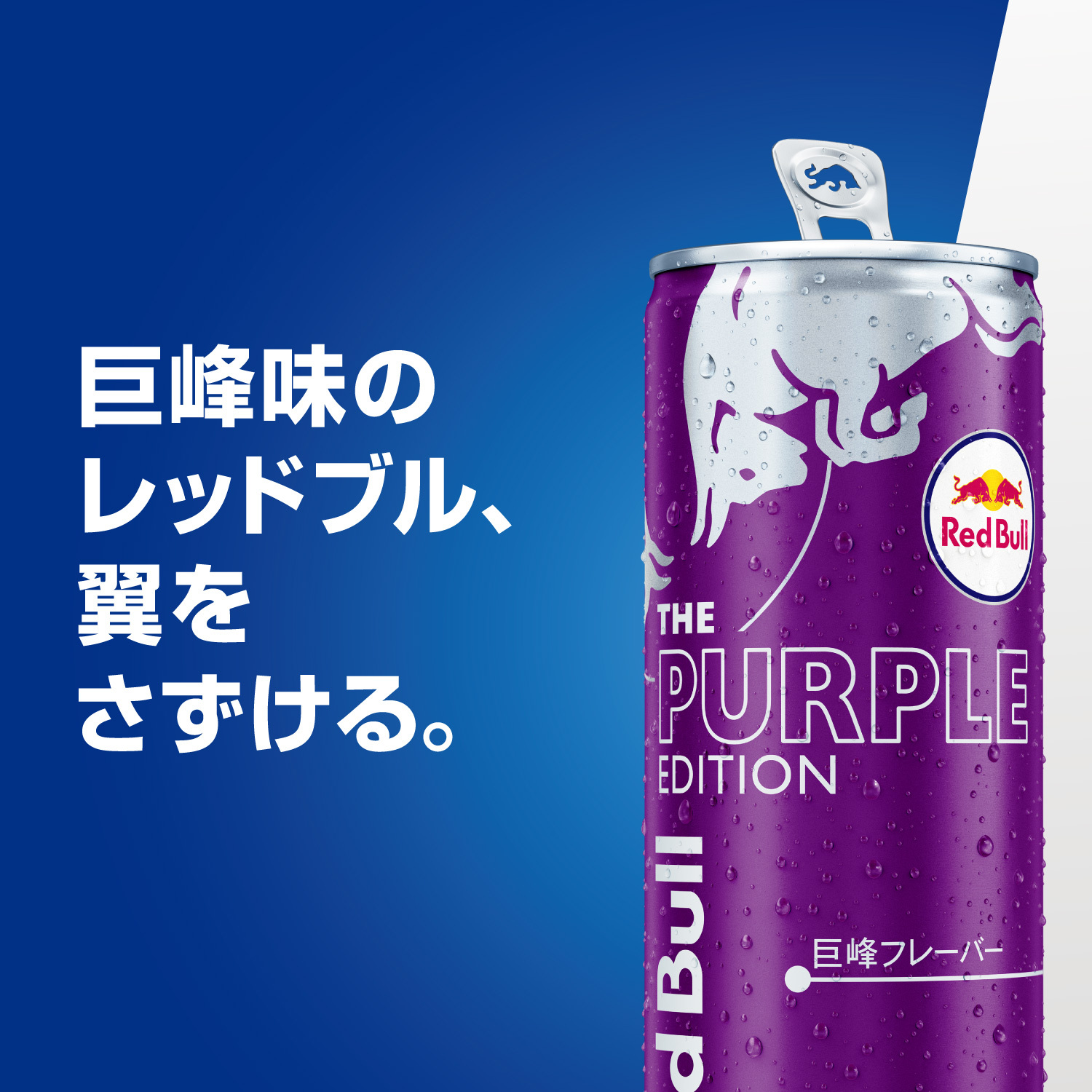 レッドブル（RedBull） ＼13%OFFクーポン対象 3/8まで／公式 エナジー
