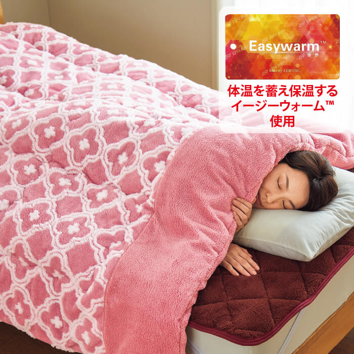 洗えるふわふわ毛布の暖か掛けふとん シングル2色組 テレビ朝日 テレ朝