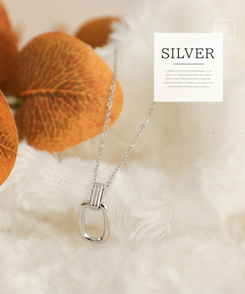 Nei/nor ネックレス 首飾り お肌に優しい サージカルステンレス 変色