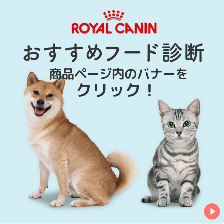 ロイヤルカナン（ROYAL CANIN） 犬 ラブラドールレトリバー