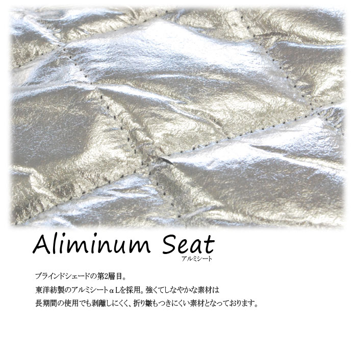 フォルクスワーゲン パサート ヴァリアント BRAHMS ブラインドシェード