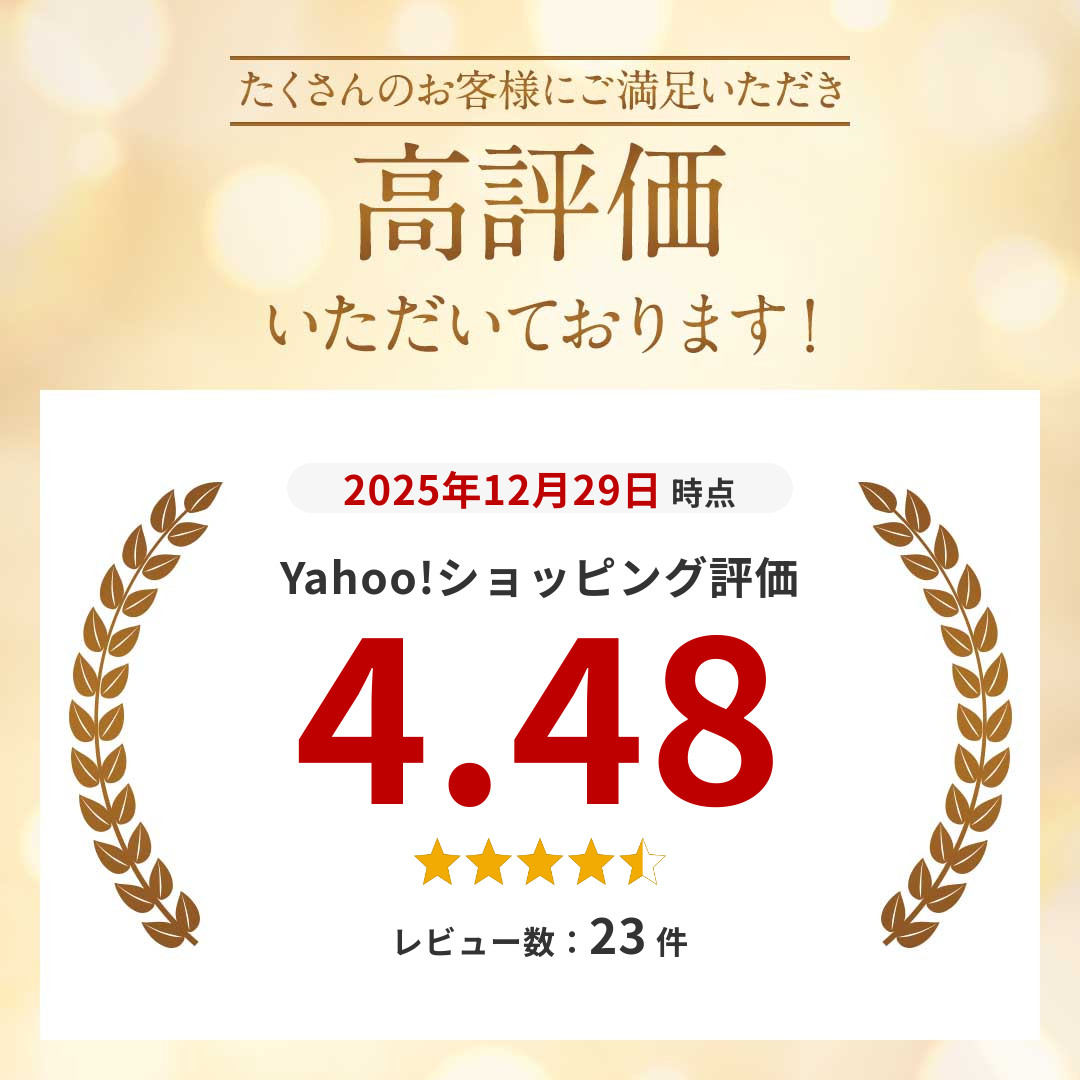 スキーケース シングル Websports オリジナル ブラック スキー1組収納