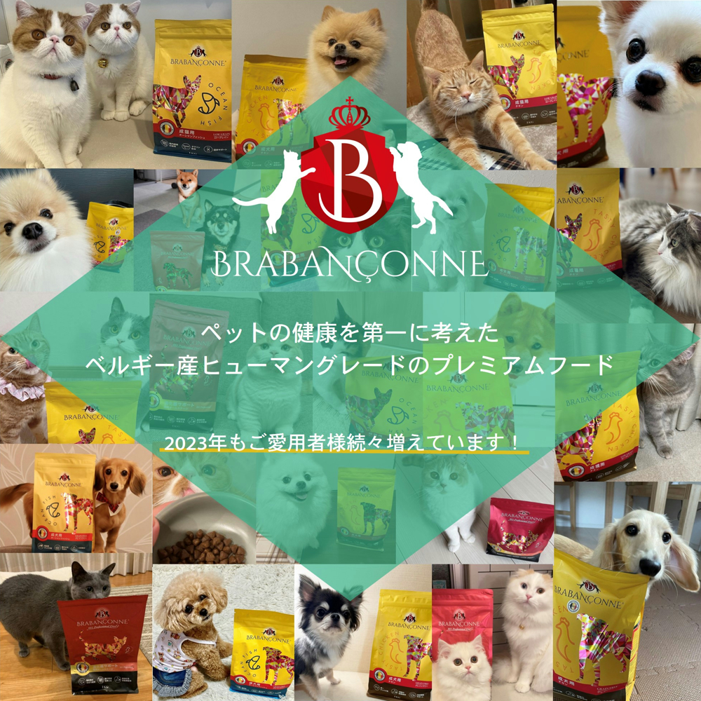 BRABANCONNE（ブラバンソンヌ） 小型犬 中型犬 成犬用 グレインフリー