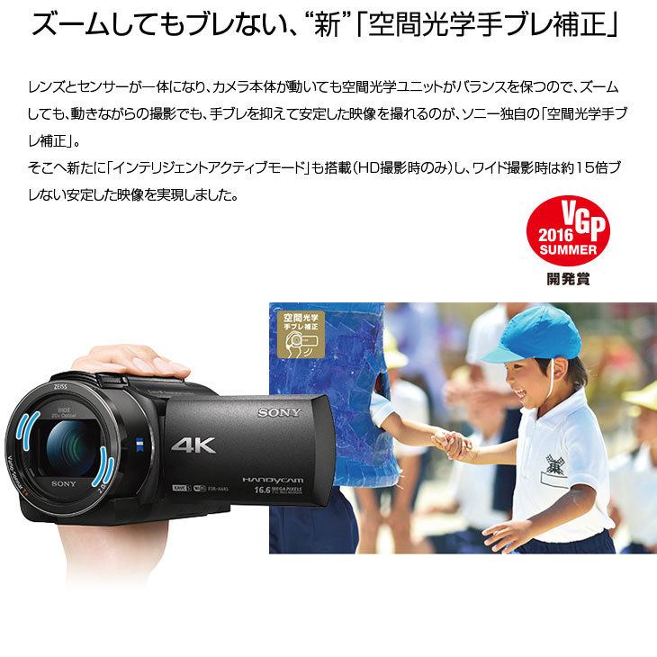 SONY（ソニー） SONUY HANDYCAM FDR-AX40 デジタル4Kビデオカメラ