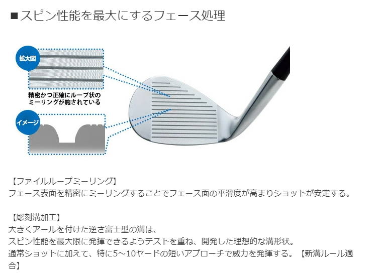 Dolphin Wedge 日本正規品 キャスコ ドルフィン ウエッジ DW-115G Hi