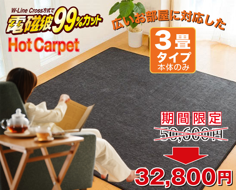 ゼンケン 電磁波カット ホットカーペット 3畳 本体のみ 195×235cm