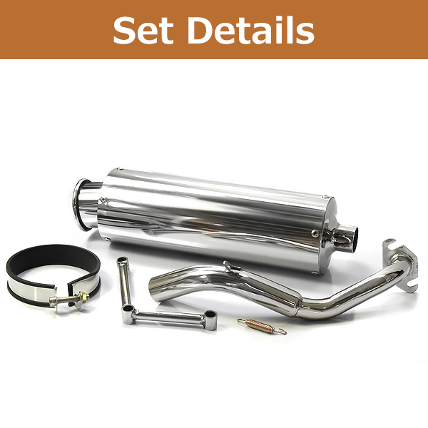 重低音 ライブディオ Dio ステンレス マフラー SR ZX AF34 AF35 オール