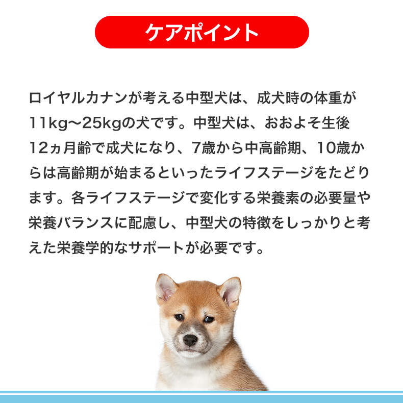 ロイヤルカナン（ROYAL CANIN） ミディアム パピー 4kg / 中型犬（成犬