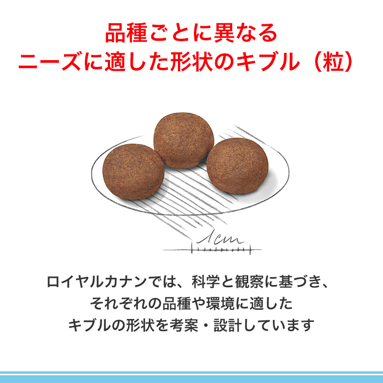 ロイヤルカナン（ROYAL CANIN） ミディアム パピー 4kg / 中型犬（成犬