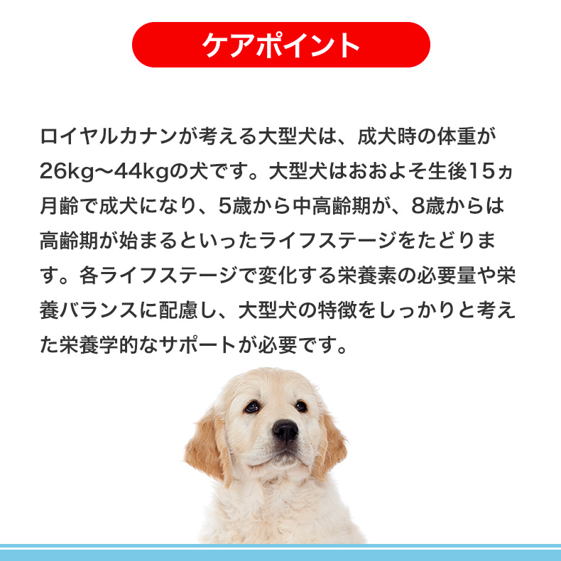 ロイヤルカナン（ROYAL CANIN） マキシ パピー 10kg / 大型犬（成犬時