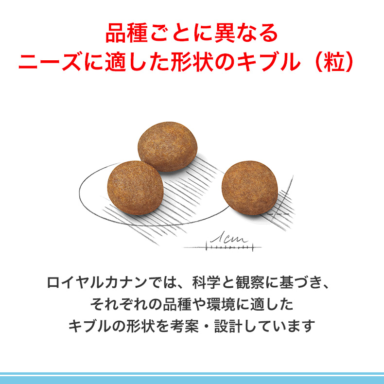 ロイヤルカナン（ROYAL CANIN） マキシ パピー 15kg / 大型犬（成犬時