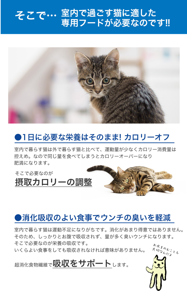 ロイヤルカナン（ROYAL CANIN） インドア 400g / 室内で生活する成猫用