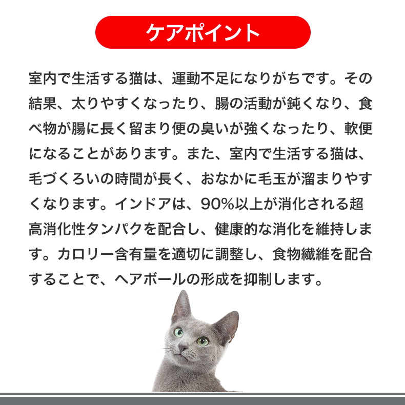 ロイヤルカナン（ROYAL CANIN） 【お得な12個セット】ロイヤルカナン