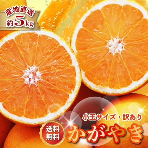 津之輝」の人気商品一覧 | 安い商品を通販サイトから探す - 価格.com