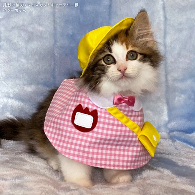 ゴロにゃんオリジナル 猫服 ワンタッチコーデシリーズ 幼稚園気分 S