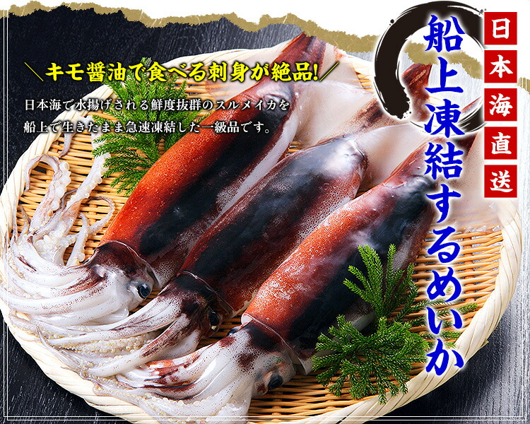 刺身用するめいか3杯入り/約600g前後（約200g前後×3ハイ）※船上冷凍の
