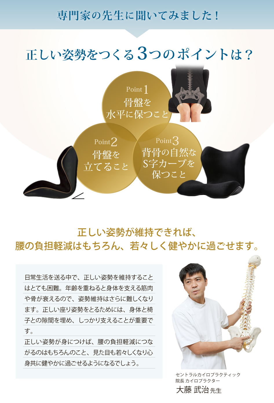 Style（スタイル） 姿勢ケアシート Style PREMIUM DX プレミアム