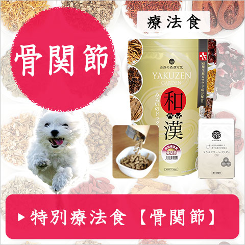 和漢みらいのドッグフード（公式）～無添加・和漢ドッグフード・自然の