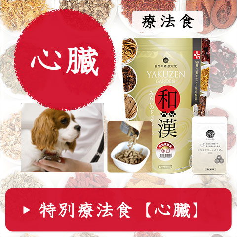 和漢みらいのドッグフード（公式）～無添加・和漢ドッグフード・自然の