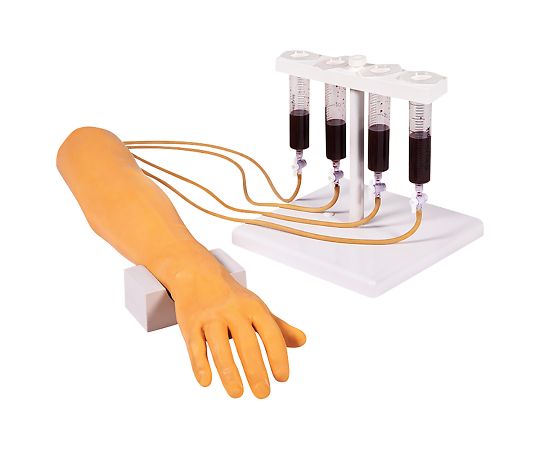 センシティブ3 採血静脈注射練習キット KCC-B18-00 1個（ご注文単位1個