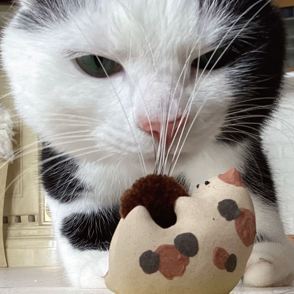 Dela猫 | シナト・ビジュアルクリエーション ショップ