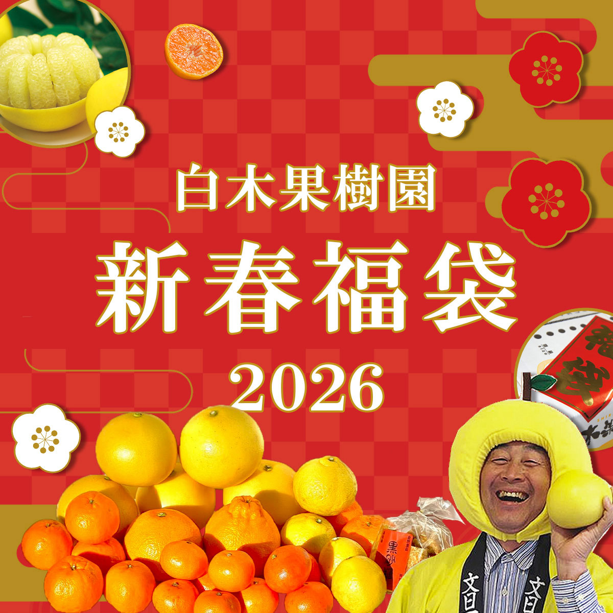 白木果樹園2026年 新春福袋＜竹＞約6kg【送料込】 | 白木果樹園