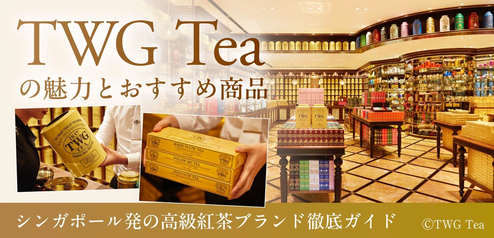 TWG Teaの魅力とおすすめ商品シンガポール発の高級紅茶ブランド徹底