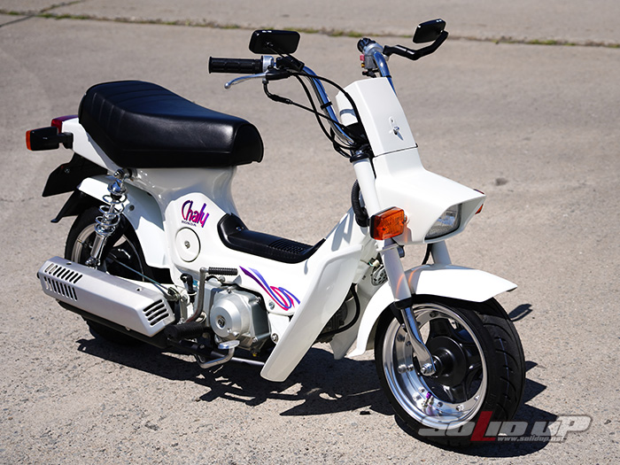 シャリー ロングノーズ / ソリッドアップ