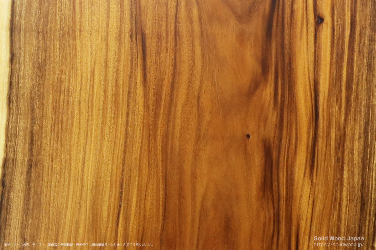 モンキーポッドの一枚板 | 無垢材とは | 一枚板比較