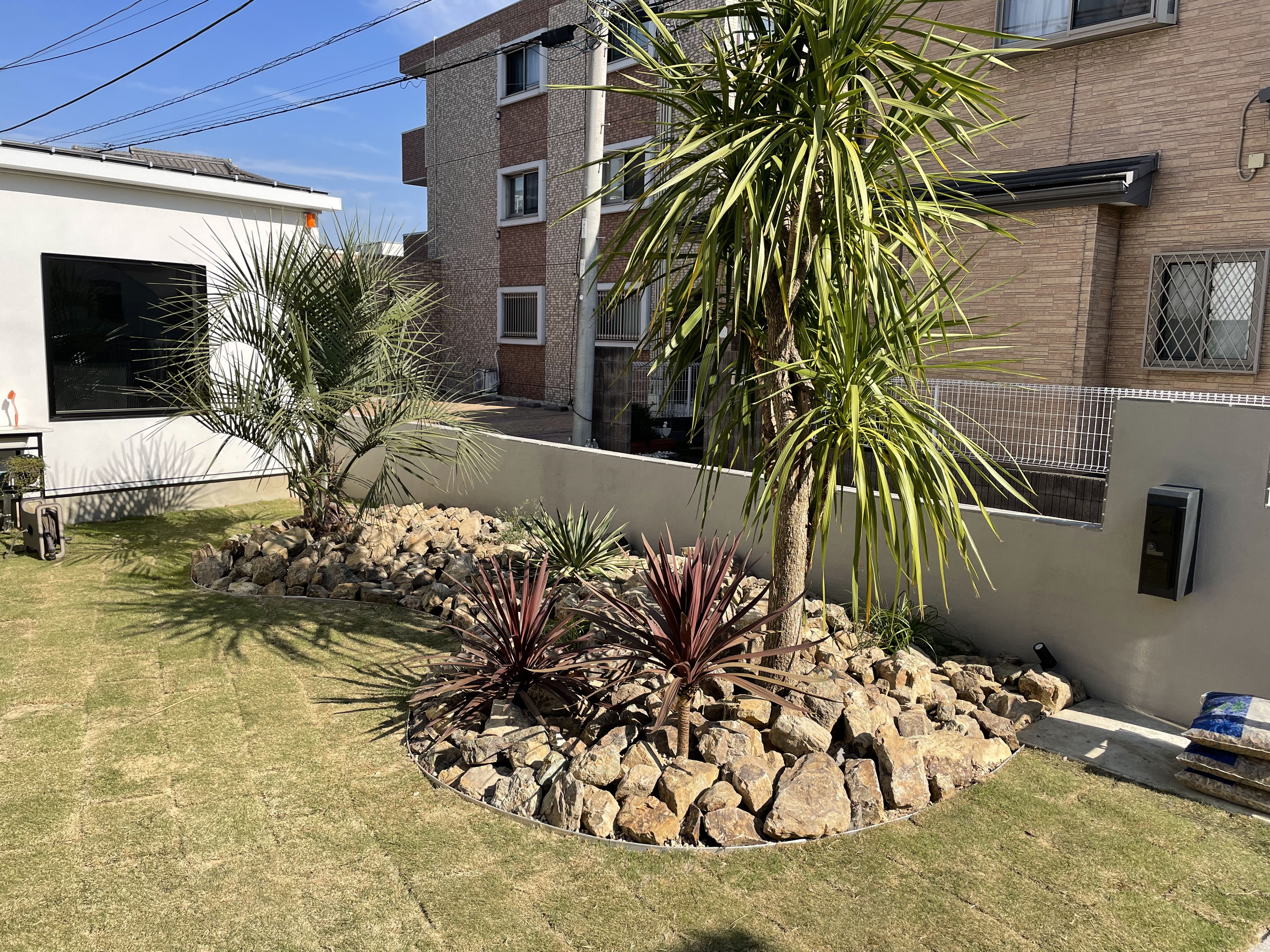 ロックガーデン 千葉県千葉市 ヤシの木 ココスヤシ