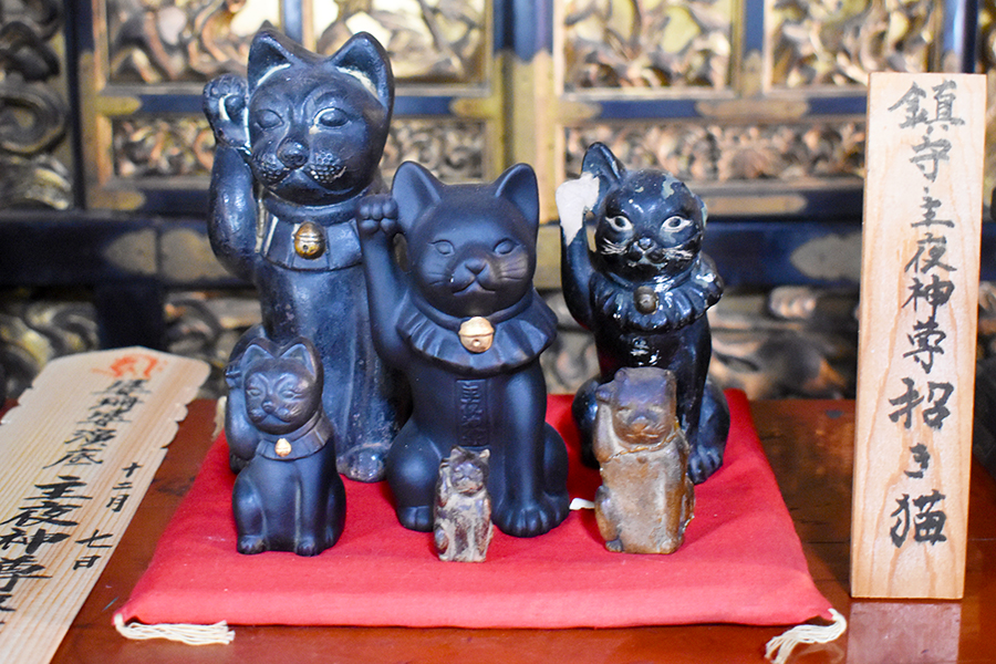 檀王法林寺、“神通力を持つ黒い招き猫”と“袋中上人”を訪ねて。｜そうだ