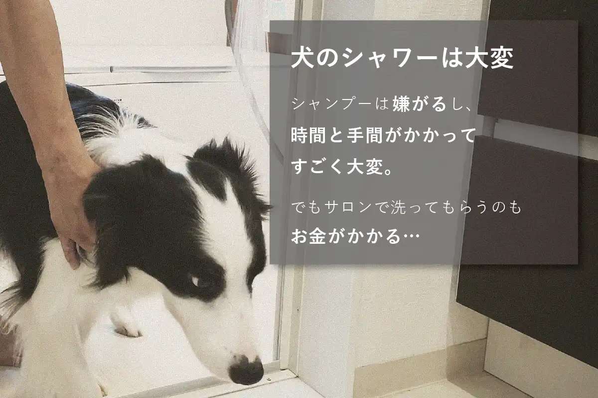 ワンちゃんを簡単に洗えるシャワーヘッド 「シャワニー・カラー