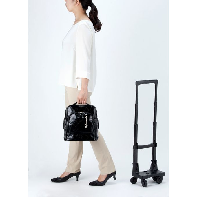 D-591 エマイロVI (TS15) ボルドー <低振動・低騒音のT2キャスター・4