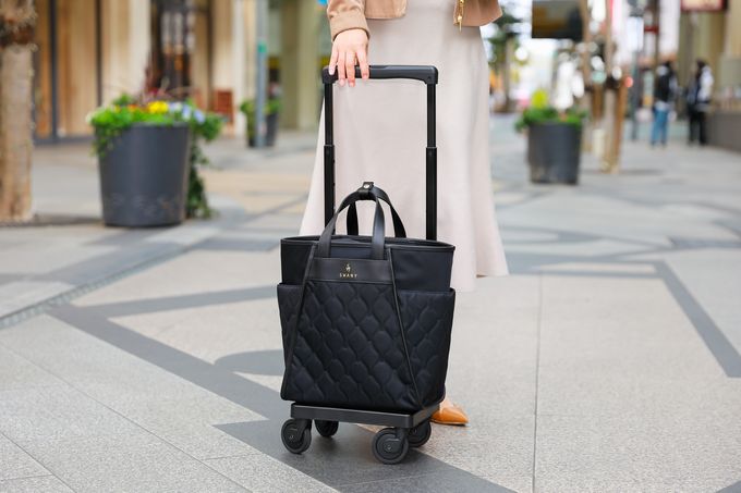 SWANY スワニー　キャリーバッグ D-589 プーフォ M21 M2103risize.jpg?t=20230419142713